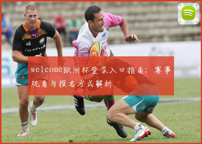 welcome欧洲杯登录入口指南：赛事观看与报名方式解析