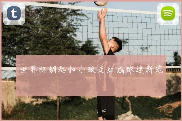 世界杯钥匙扣小狼走红成球迷新宠