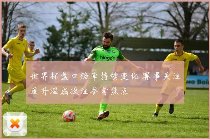 世界杯盘口赔率持续变化 赛事关注度升温成投注参考焦点