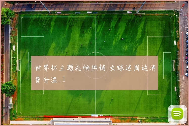 世界杯主题礼物热销 女球迷周边消费升温_1